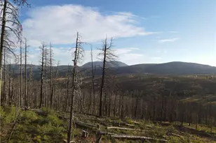 836 Slaoui Pl, Fort Garland, CO 81133 - Photo 1