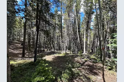 00 S Spring Gulch, Idaho Springs, CO 80452 - Photo 1