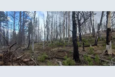 Lot 2738 Newman Place, Fort Garland, CO 81133 - Photo 1