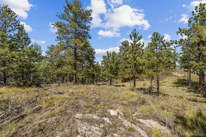 000 Mockingbird Trail, Bailey, CO 80421 - Photo 1