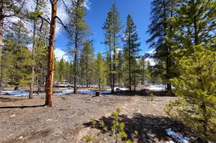 379 & 361 Juniper Dr, Twin Lakes, CO 81251 - Photo 1