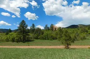 6129 St Andrews Ct, Larkspur, CO 80118 - Photo 1