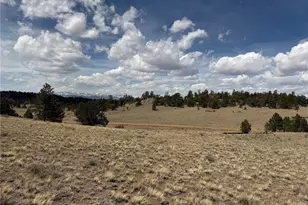 2839 Fitzsimmons Rd, Hartsel, CO 80449 - Photo 1