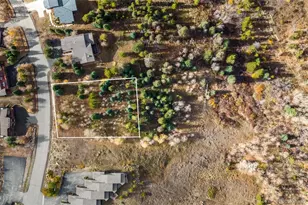 228 Fawn Ct, Silverthorne, CO 80498 - Photo 1