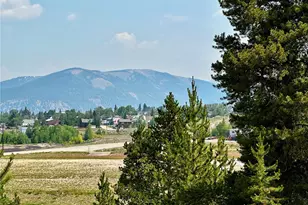 140 Brooklyn Cir, Leadville, CO 80461 - Photo 1