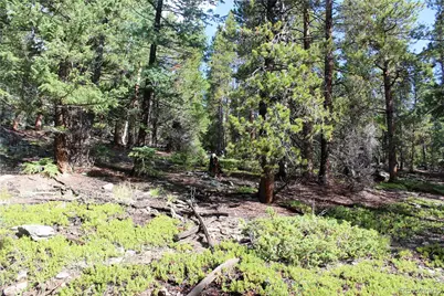 740 Rangeview Court, Black Hawk, CO 80422 - Photo 1