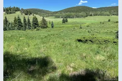 Lot 2684 Coder Place, Fort Garland, CO 81133 - Photo 1