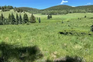 Lot 2684 Coder Pl, Fort Garland, CO 81133 - Photo 1