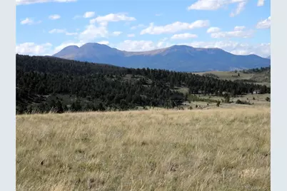 197 Stacker Drive, Hartsel, CO 80449 - Photo 1