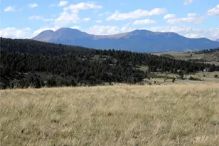 197 Stacker Dr, Hartsel, CO 80449 - Photo 1