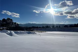 17147 Copper Vly Ct, Monument, CO 80132 - Photo 1