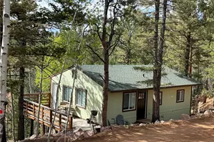 577 Horseshoe Dr, Divide, CO 80814 - Photo 1