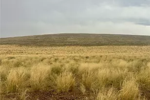 Lot 11 Alyssum Circle, Blanca, CO 81123 - Photo 1