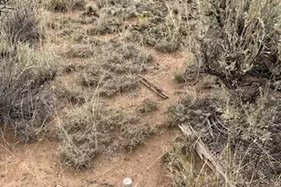 Lot 3034 Saudir Rd, Fort Garland, CO 81133 - Photo 1