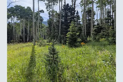 3079 Henderson Drive, Fort Garland, CO 81133 - Photo 1