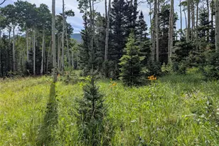 3079 Henderson Dr, Fort Garland, CO 81133 - Photo 1