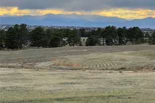 10631 Shadow Pines Rd, Parker, CO 80138 - Photo 1