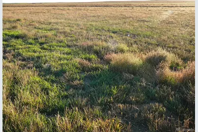 Tbd Hwy 52, Wiggins, CO 80654 - Photo 1