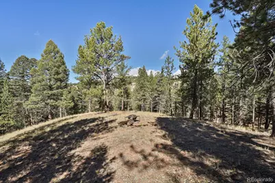 504 Bear Mountain Road, Florissant, CO 80816 - Photo 1