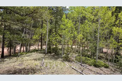 1058 Bennett Drive, Cripple Creek, CO 80813 - Photo 1