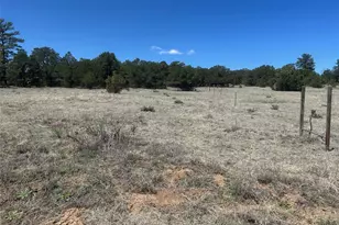 35th Trail, Cotopaxi, CO 81223 - Photo 1