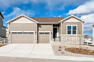 1693 Green Fern Pt, Castle Rock, CO 80104 - Photo 1
