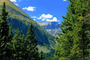 157 Goldfinch Pl, Alma, CO 80420 - Photo 1