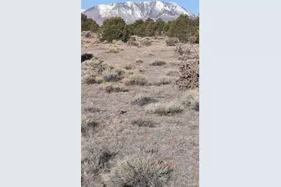 185 Black Hills #1, Walsenburg, CO 81089 - Photo 1