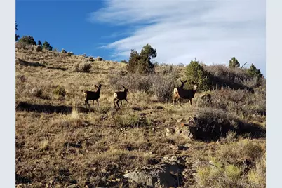 251 Floweree Drive, Fort Garland, CO 81133 - Photo 1