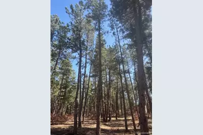 560 Princess Road, Cripple Creek, CO 80813 - Photo 1