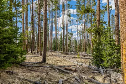 Lot 98 South Station II, Oak Creek, CO 80467 - Photo 1