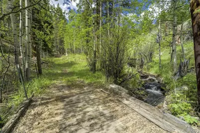 429 Road P53, Bailey, CO 80421 - Photo 47
