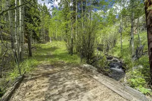 429 Rd P53, Bailey, CO 80421 - Photo 47