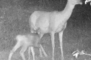 429 Rd P53, Bailey, CO 80421 - Photo 7