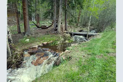 429 Road P53, Bailey, CO 80421 - Photo 3