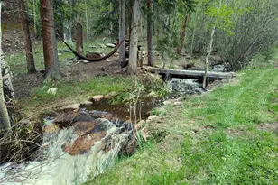 429 Rd P53, Bailey, CO 80421 - Photo 3