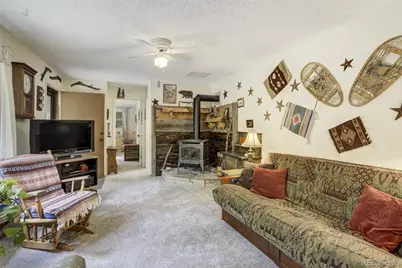 429 Road P53, Bailey, CO 80421 - Photo 37