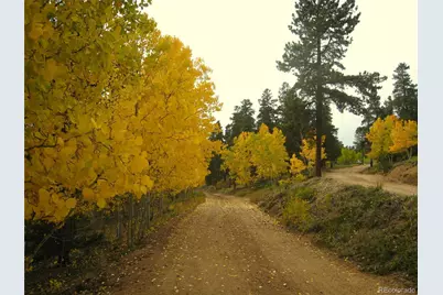 429 Road P53, Bailey, CO 80421 - Photo 5