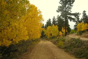 429 Rd P53, Bailey, CO 80421 - Photo 5