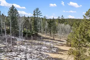 Lot 20A Echo Lake Dr, Lake George, CO 80827 - Photo 1