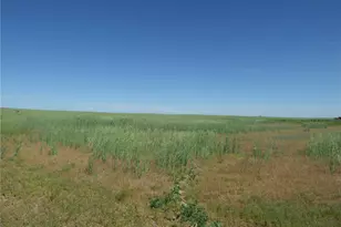 4242 Cr 185, Byers, CO 80103 - Photo 1