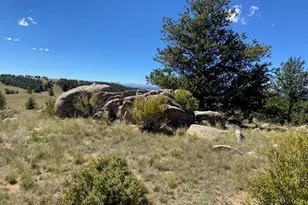 Tbd Cr 77, Como, CO 80456 - Photo 1