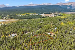 401 Willow Ln, Fairplay, CO 80440 - Photo 1