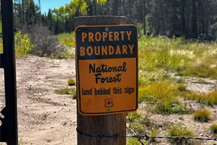 3444 Grojean Dr, Fort Garland, CO 81133 - Photo 1