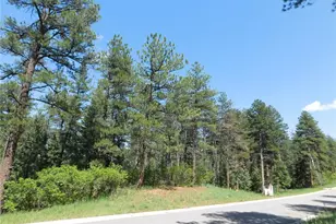 8118 Bannock Dr, Larkspur, CO 80118 - Photo 1