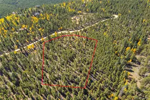 1001 Royal Ridge Dr, Bailey, CO 80421 - Photo 1