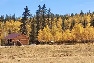 50 Puma Ct, Como, CO 80432 - Photo 1