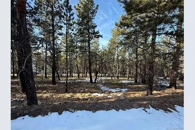 Lot 356 Spangle Drive, Fort Garland, CO 81133 - Photo 1