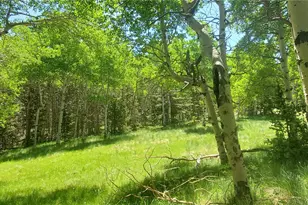 Lot 3085 Henderson Ln, Fort Garland, CO 81133 - Photo 1