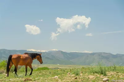 3330 Tweet Place, Sedalia, CO 80135 - Photo 1